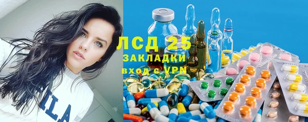 стафф Михайлов