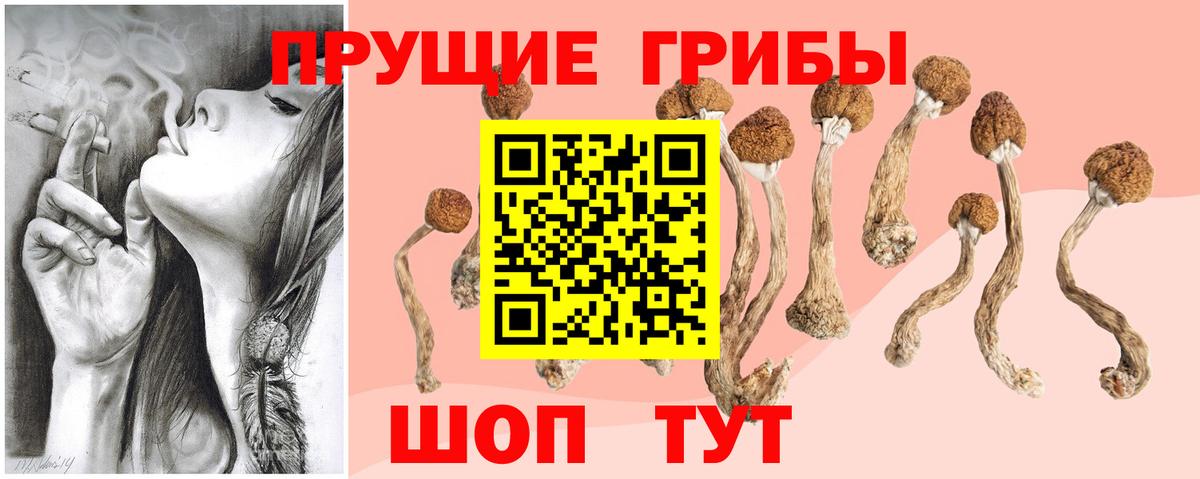 Галлюциногенные грибы Psilocybe  Вход с VPN  Кострома 