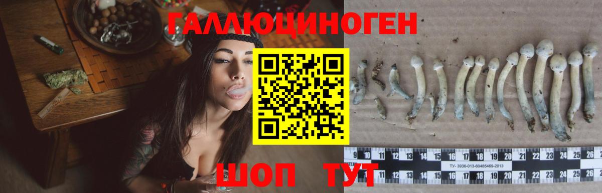 Псилоцибиновые грибы GOLDEN TEACHER Кострома