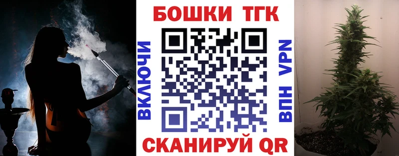 Конопля сатива  Кострома 